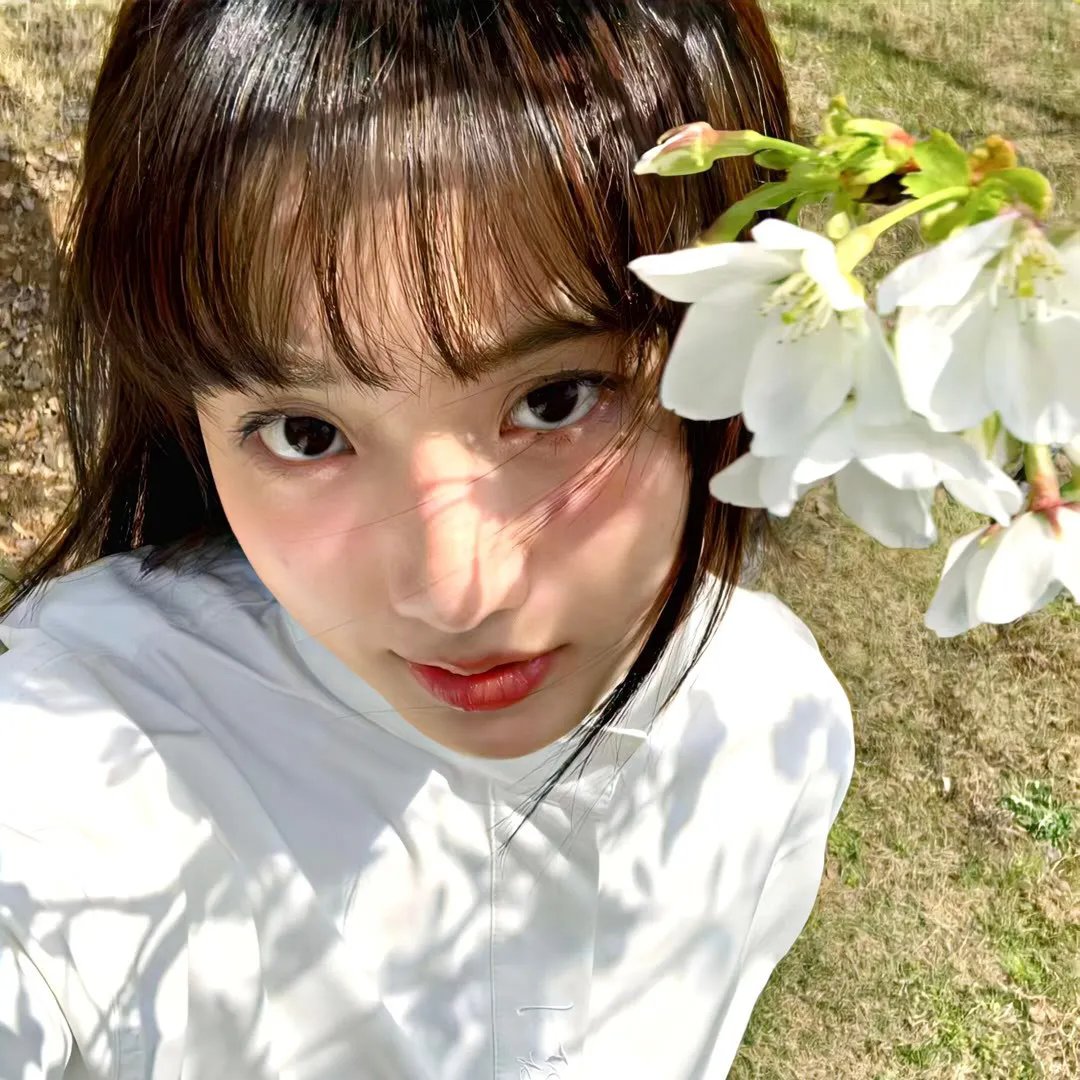 战火中的花蕾封面